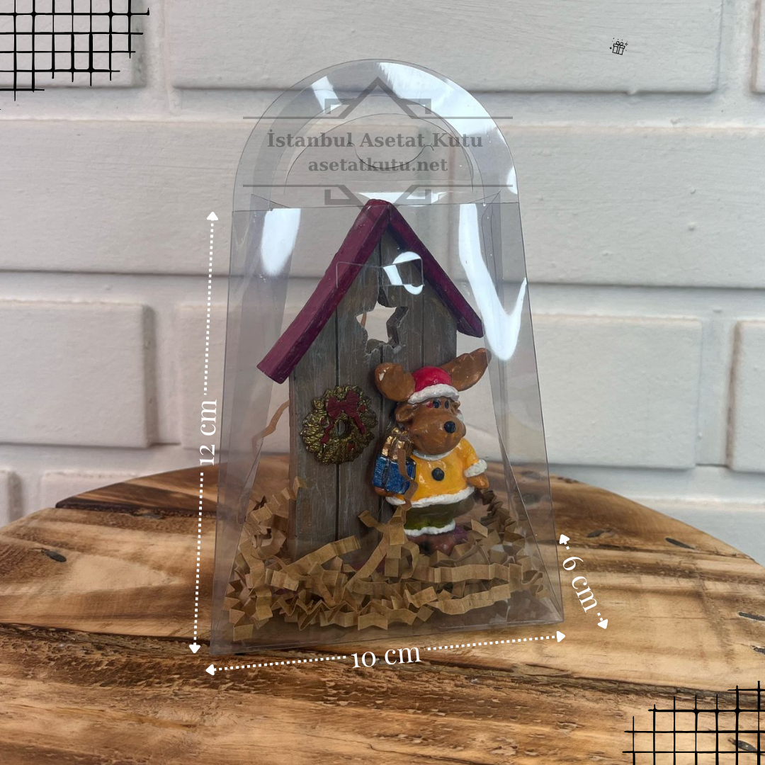 12x10x6 Asetat Çanta [10 Adet]