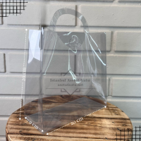 20x20x9 Asetat Çanta [10 Adet]