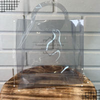 20x20x9 Asetat Çanta [10 Adet]