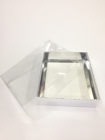 25x20x5 Gümüş Kutu