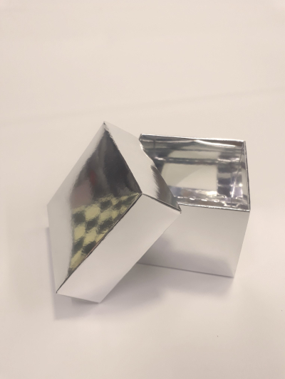 8x8x6 Komple Gümüş Kutu