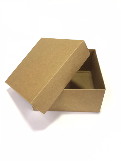 20x20x10 Komple Kraft Kutu