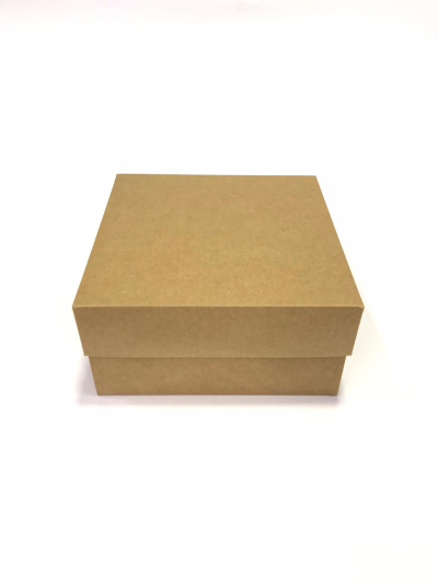 20x20x10 Komple Kraft Kutu